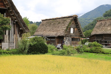 Fototapeta na wymiar Traditional and historical Japanese village, Aikura in Toyama