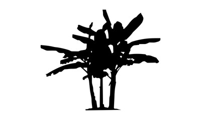 banana tree silhouette