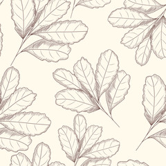 Engraved style leaf seamless pattern. Hand drawn vector illustration. D