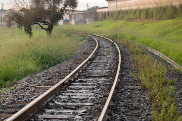Fototapeta premium railway in forest