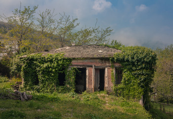 Abandoned house covered with ivy