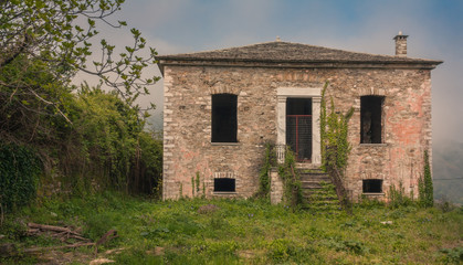 Fototapeta na wymiar Abandoned house covered with ivy