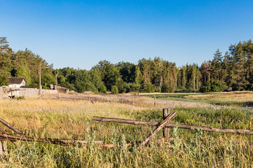 Obraz premium Country landscape. Farm field. Grass field with forest background. Land dry grass. Village photography. 