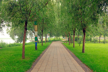 Stone path in the park