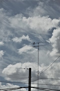 Aqu&iacute; en las nubes
