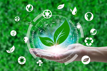 Hand holding with leaf and environment icons over the Network connection on nature background, Technology ecology concept. environment concept