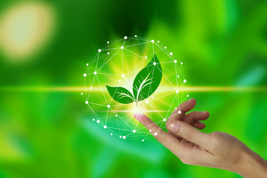 Finger touch with leaf icon over the Network connection on nature background, Technology ecology concept. environment concept