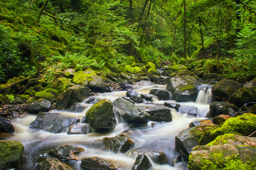 A wild and enchanted river in a green forest in the Lake District National Park. Cumbria, England, UK.