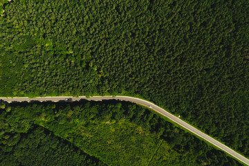 Aerial view of a road in the middle of the forest
