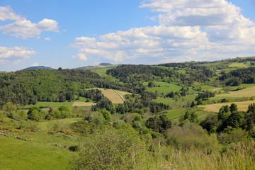 Fototapeta na wymiar Paysage de campagne vallonnée l'été en Auvergne. Nature, collines, forêts, champs et prairies de Haute Loire en France.