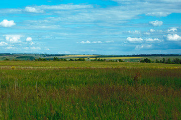 green field and beautiful blue sky with clouds