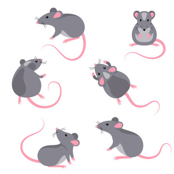 Set of rats characters