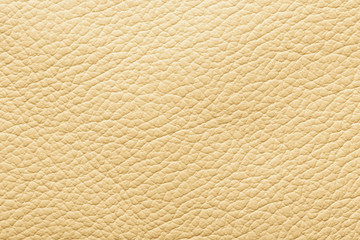 Textured beige leather closeup. Full frame, close up. Macro