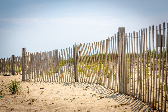 Thin beach fencing on Martha's Vineyard, Massachusetts