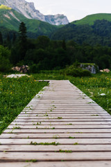 Wooden path to the mountains for tourists. Path for a walk in the woods and mountains