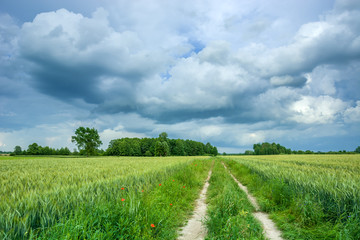 Road through fields and dark clouds in the sky