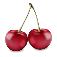 Cherry fruit Vector realistic isolated on whites. Detailed 3d illustrations