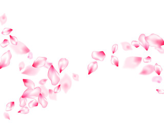 Spring tree flowers parts, airy flying petals