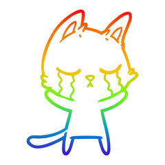 rainbow gradient line drawing crying cartoon cat