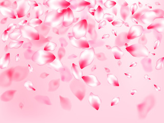 Japanese cherry blossom pink flying petals