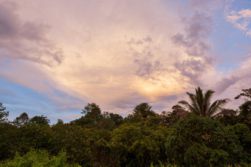 Fototapeta na wymiar Tropical colorful vibrant sunset clouds and trees