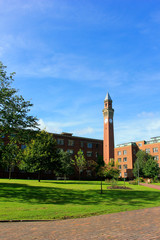 Obraz premium The Joseph Chamberlain Memorial Clock Tower, in the university of Birmingham, UK