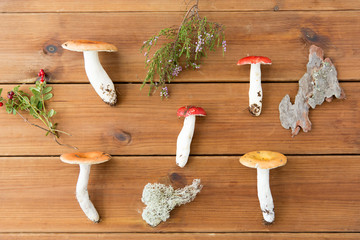 edible mushrooms, nature and environment concept - russules on wooden background