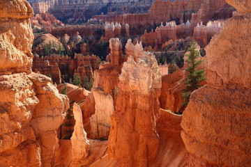 Bryce Canyon Utha USA