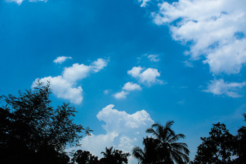 Obraz premium sky cloud and trees