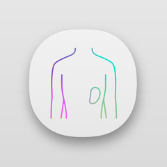 Healthy spleen app icon. Human organ in good health. Functioning lymphatic system. Internal body part in good shape. UI/UX user interface. Web or mobile applications. Vector isolated illustrations