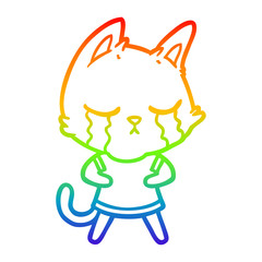 rainbow gradient line drawing crying cartoon cat