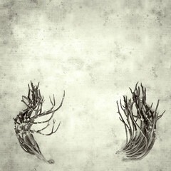  old paper background