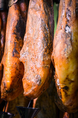 mix of fresh panini & tapas starters