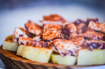 mix of fresh panini & tapas starters
