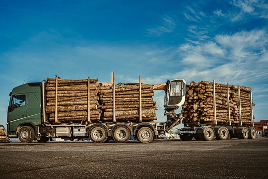 Green truck carrying pulpwood to the cargo ship in the port. Summer time. Close up. Copy space.