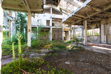Urban exploration / Abandoned Oil mill