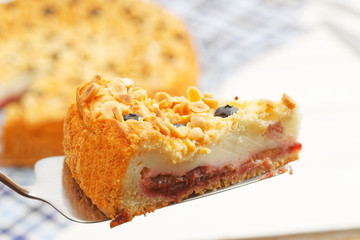 Piece of cake with cottage cheese souffle and plum decorated with almonds and blueberries. Shallow focus.