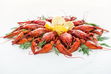 red lobsters, lemon slices and green herbs on white background