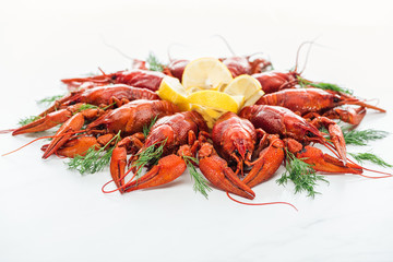 red lobsters, lemon slices and green herbs on white background