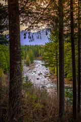 Snoqualmie River View Through the Forest, Washington