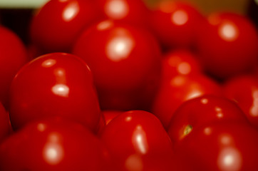 Tomatoes