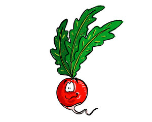 Veggie friends radish 