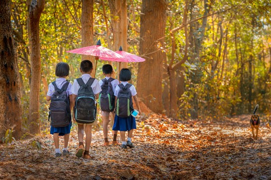 Community life. The boy and girl holding a red umbrella with dog is walking in the forest to go to school. Group of school boys and girls with uniforms in forrest. Tha Tum District, Surin, Thailand.