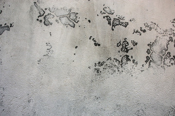 White and gray plaster with black stains on the wall