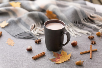 Fototapeta na wymiar drinks and season concept - cup of hot chocolate, cinnamon, autumn leaves and warm blanket on grey background