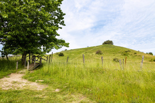 Way in to Brosarp backar, a Hilly landscape found in Skane, Sweden.