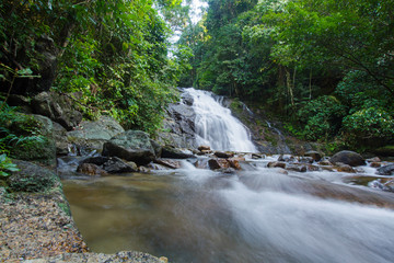 Ton Chong Fa,in the forest tropical zone ,national park Takua pa Phang Nga Thailand