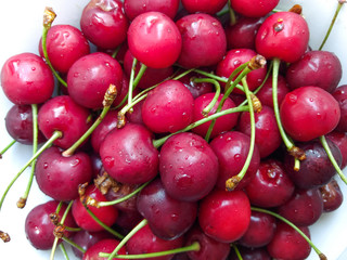 Cherries with water droplets. Harvested berries
