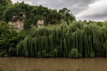 Green willows growing above the water of a muddy yellow river near the rocks under a cloudy sky.
