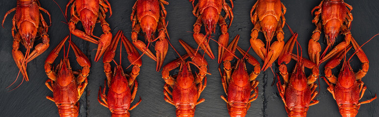 panoramic shot of red lobsters on black textured surface